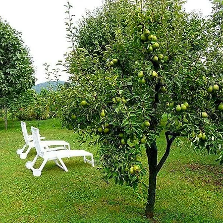 B&B Marie Therese Bed & Breakfast 3*