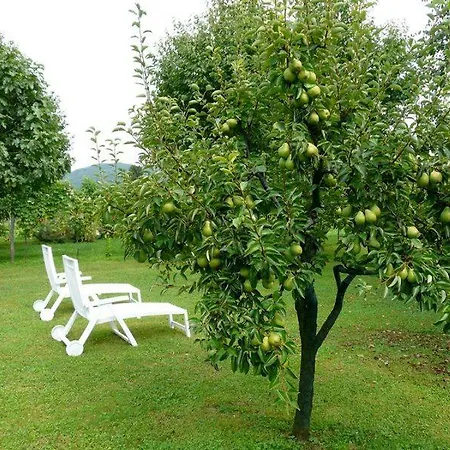 Marie Therese Bed & Breakfast Torreano