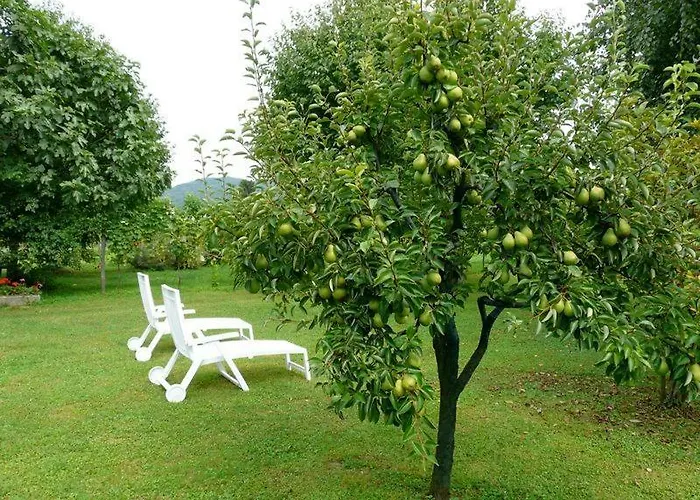 Marie Therese Bed & Breakfast Torreano